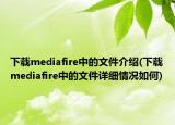 下载mediafire中的文件介绍(下载mediafire中的文件详细情况如何)