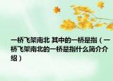 一桥飞架南北 其中的一桥是指（一桥飞架南北的一桥是指什么简介介绍）