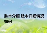 肽木介绍 肽木详细情况如何