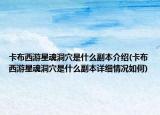 卡布西游星魂洞穴是什么副本介绍(卡布西游星魂洞穴是什么副本详细情况如何)
