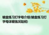 键盘练习打字母介绍(键盘练习打字母详细情况如何)