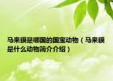 马来貘是哪国的国宝动物（马来貘是什么动物简介介绍）