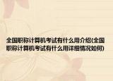 全国职称计算机考试有什么用介绍(全国职称计算机考试有什么用详细情况如何)