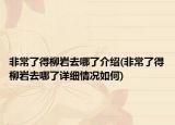 非常了得柳岩去哪了介绍(非常了得柳岩去哪了详细情况如何)