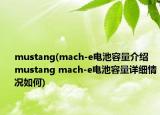 mustang(mach-e电池容量介绍 mustang mach-e电池容量详细情况如何)
