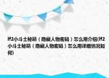 lf2小斗士秘籍（隐藏人物密码）怎么用介绍(lf2小斗士秘籍（隐藏人物密码）怎么用详细情况如何)