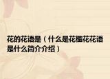 花的花语是（什么是花楹花花语是什么简介介绍）