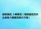 易初莲花 卜蜂莲花（易初莲花为什么改名卜蜂莲花简介介绍）