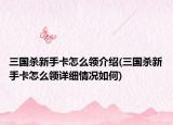 三国杀新手卡怎么领介绍(三国杀新手卡怎么领详细情况如何)