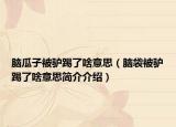 脑瓜子被驴踢了啥意思（脑袋被驴踢了啥意思简介介绍）