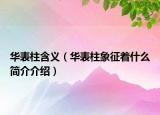 华表柱含义（华表柱象征着什么简介介绍）