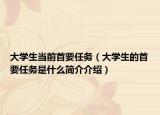 大学生当前首要任务（大学生的首要任务是什么简介介绍）
