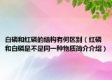 白磷和红磷的结构有何区别（红磷和白磷是不是同一种物质简介介绍）