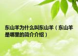 东山羊为什么叫东山羊（东山羊是哪里的简介介绍）