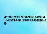 CF什么时候才会再出海豹突击队介绍(CF什么时候才会再出海豹突击队详细情况如何)
