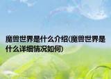 魔兽世界是什么介绍(魔兽世界是什么详细情况如何)