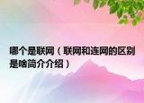 哪个是联网（联网和连网的区别是啥简介介绍）
