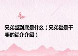 兄弟堂到底是什么（兄弟堂是干嘛的简介介绍）