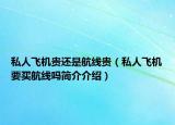 私人飞机贵还是航线贵（私人飞机要买航线吗简介介绍）