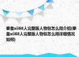 拳皇xii68人完整版人物包怎么用介绍(拳皇xii68人完整版人物包怎么用详细情况如何)
