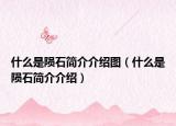 什么是陨石简介介绍图（什么是陨石简介介绍）