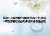 歌词中有我想要轻轻的对你说介绍(歌词中有我想要轻轻的对你说详细情况如何)
