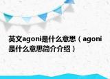 英文agoni是什么意思（agoni是什么意思简介介绍）
