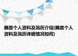 魏晨个人资料及简历介绍(魏晨个人资料及简历详细情况如何)