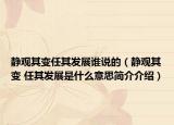 静观其变任其发展谁说的（静观其变 任其发展是什么意思简介介绍）