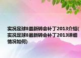 实况足球8最新转会补丁2013介绍(实况足球8最新转会补丁2013详细情况如何)