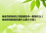 商业性机构或公司的域名中一般有什么（商业机构的域名是什么简介介绍）