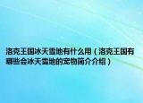 洛克王国冰天雪地有什么用（洛克王国有哪些会冰天雪地的宠物简介介绍）