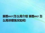 赛酷ocr(怎么用介绍 赛酷ocr 怎么用详细情况如何)