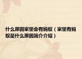 什么原因家里会有蚂蚁（家里有蚂蚁是什么原因简介介绍）