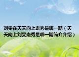 刘雯在天天向上走秀是哪一期（天天向上刘雯走秀是哪一期简介介绍）