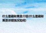 什么是藏秘熏蒸介绍(什么是藏秘熏蒸详细情况如何)