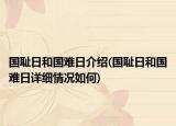 国耻日和国难日介绍(国耻日和国难日详细情况如何)