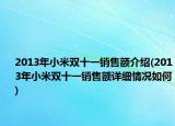 2013年小米双十一销售额介绍(2013年小米双十一销售额详细情况如何)