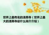 世界上最有名的清真寺（世界上最大的清真寺是什么简介介绍）