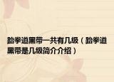 跆拳道黑带一共有几级（跆拳道黑带是几级简介介绍）