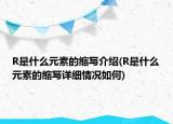 R是什么元素的缩写介绍(R是什么元素的缩写详细情况如何)