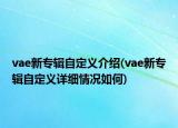 vae新专辑自定义介绍(vae新专辑自定义详细情况如何)