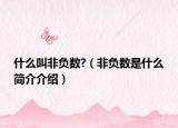 什么叫非负数?（非负数是什么简介介绍）