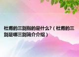 杜甫的三别指的是什么?（杜甫的三别是哪三别简介介绍）