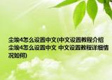 尘埃4怎么设置中文(中文设置教程介绍 尘埃4怎么设置中文 中文设置教程详细情况如何)