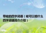 带峻的四字词语（峻可以组什么四字词语简介介绍）