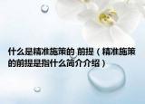 什么是精准施策的 前提（精准施策的前提是指什么简介介绍）