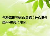 气垫霜是气垫bb霜吗（什么是气垫bb霜简介介绍）