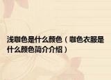 浅咖色是什么颜色（咖色衣服是什么颜色简介介绍）