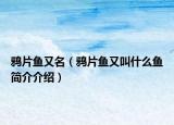 鸦片鱼又名（鸦片鱼又叫什么鱼简介介绍）